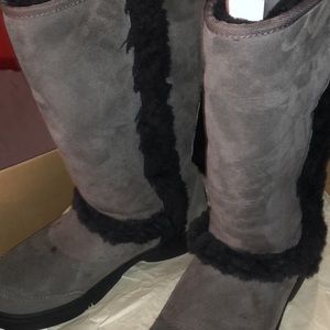 Sunburst Uggs